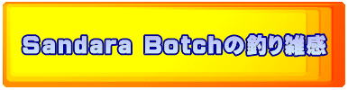 Sandara Botch�̒ނ�G��